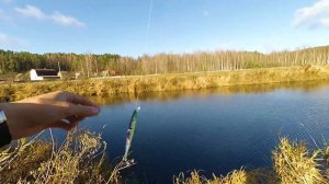 Спиннинг для твичинга. Бюджет! Научились делать!