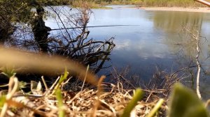 Рыбалка , Свердловская область, р.Бисерть , голавль на 1,5 кг