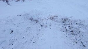 Лада Нива ТРЕВЕЛ. Решил ПОМЕСИТЬ снег, но ВСЁ пошло НЕ ПО ПЛАНУ... Зато людям помог!