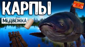 РР4/ рыбалка для души, ловим как универсал, общаемся 22.03.24