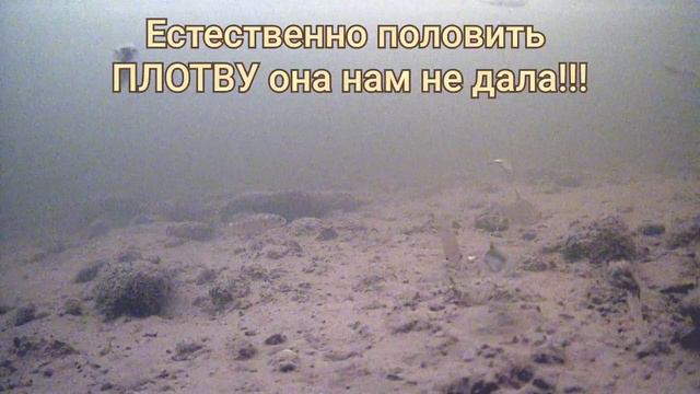 Финский залив. Рыбалка 2022 на плотву и корюшку. #финскийзалив  #плотва #корюшка #камера
