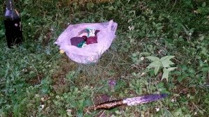 Очень сильный ритуал в горах Карпатах отвод атамом негатива с наказанием врагов по справедливости.