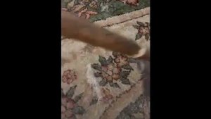 Чистка ковра подручными средствами