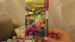 Эустома махровая для срезки.