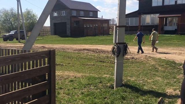 Романовские овцы для Узбекистана.