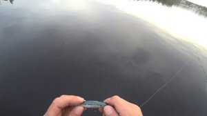 Воблер Zipbaits Rigge 90SP . Щучий любимчик !!!!