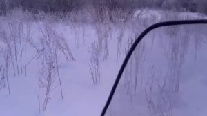 Тунгус 500 в пухляке