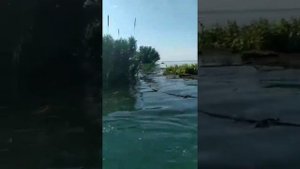 Ситуация после прорыва дамбы в Сырдарье