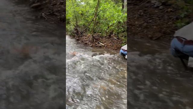 3” Gold Dredge finding lots of GOLD