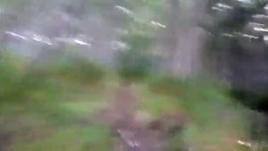 Как Русские бегают за медведями !