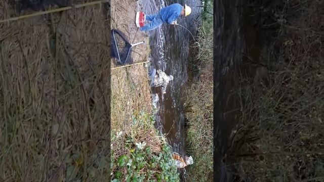 Рыбалка красной рыбы. Вашингтон смотреть онлайн