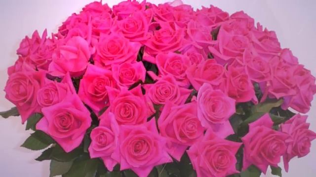 поздравление любимому с 23 февраля смотреть онлайн