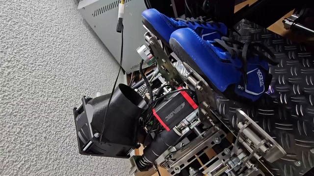 Lohnen Sich Die Simagic P-HPR Haptic Reaktoren? Test Und Vergleich