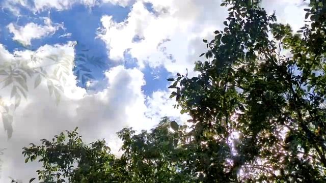 17 СЕНТЯБРЯ - ДЕНЬ ИКОНЫ БОЖИЕЙ МАТЕРИ НЕОПАЛИМАЯ КУПИНА. смотреть онлайн