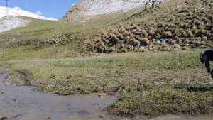 Большое путешествие по Дагестану на BMW R1250GS Adventure