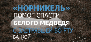 Спасение белой медведицы из Диксона