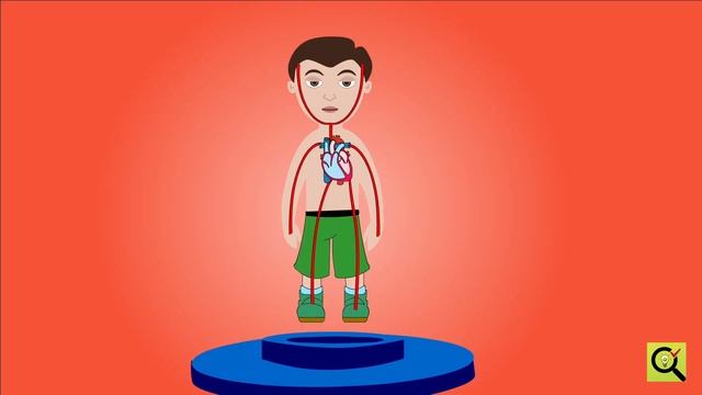 ЛУЧШИЙ КРЕМ ДЛЯ ЛИЦА! РАЗБИРАЕМ БЫСТРО, НО ПОДРОБНО!