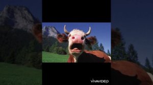 Звуки коровы. Корова мычит. Cow mooing. Cow sounds