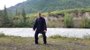 8 forms Taijiquan. Front view. 8 форм тайцзицюань - вид спереди