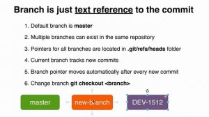 Git branches and Git HEAD: 54 What is branch in Git