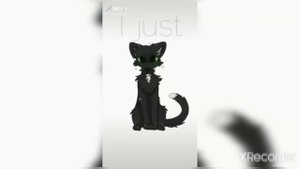 Коты воители ~Тик Ток~?