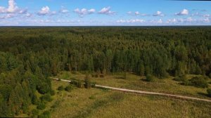 Гдовский район, деревня Доможирка