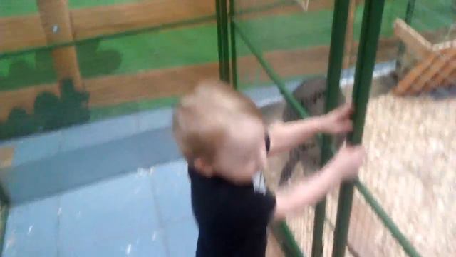 🦃🦆🐐🐇🐒🐁 Контактный зоопарк МАДАГАСКАР Тольятти 2018 ч.2 смотреть онлайн