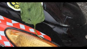 Как легко убрать царапины со скутера???