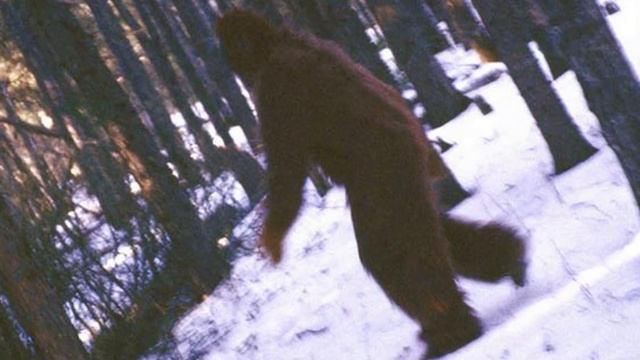 СНЕЖНЫЙ ЧЕЛОВЕК. ЙЕТИ. 10 ИНТЕРЕСНЫХ ФАКТОВ
