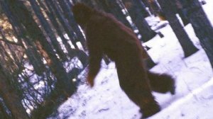 СНЕЖНЫЙ ЧЕЛОВЕК. ЙЕТИ. 10 ИНТЕРЕСНЫХ ФАКТОВ