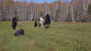 Назгулы, съемки фильма и волшебная тропинка. Фотокухня Анны Масловой. Выпуск №10