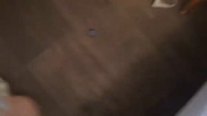 Четверо в Кубе