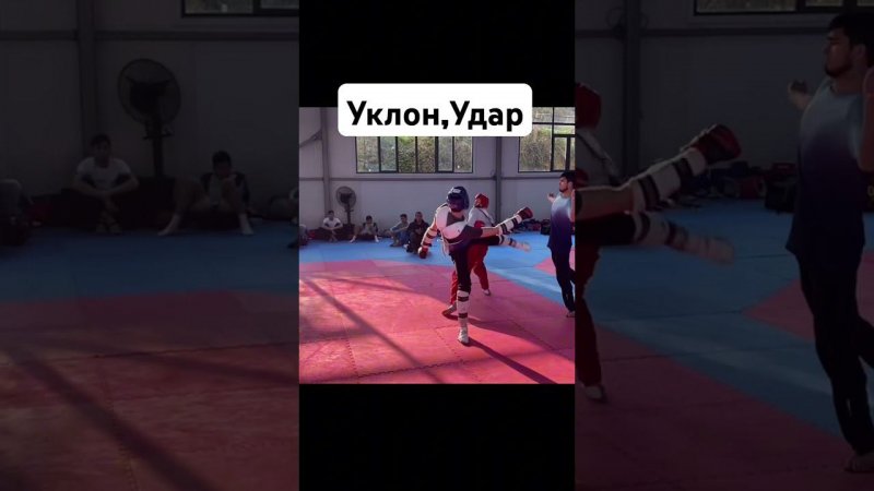 Провал, Уклон, Удар. #taekwondo #тхэквондо #ударыногами #спарринг #taekwondofight #боевыеискусства