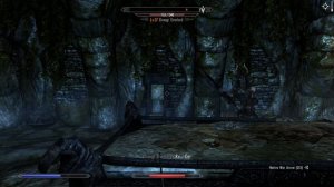 Skyrim SE ч54 Гр Хилгрунда А это все равно прикольно как ни крути