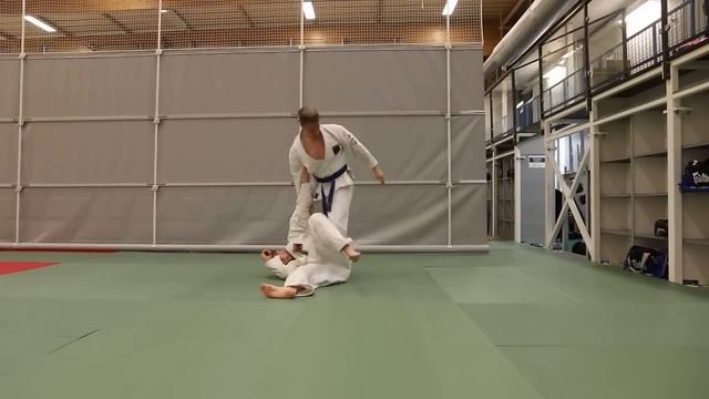 Hokutoryu jujutsu training clips - takedowns смотреть онлайн