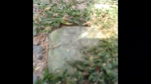 Для детей! Нашли изумруды! Самые богатые! Краш тест изумруда