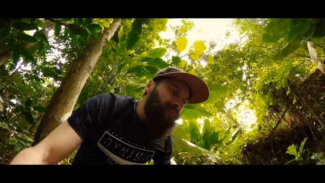 Зиплайн в Пуэрто Рико, Местная еда и Джунгли. ВЛОГ смотреть онлайн