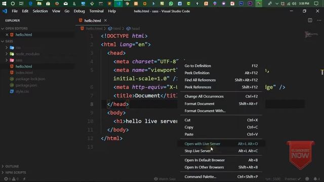 08-The Best Code Editor for Programmers | Live Server extension in vs code in Hindi/Urdu