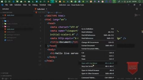 08-The Best Code Editor for Programmers | Live Server extension in vs code in Hindi/Urdu