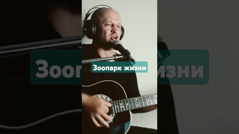 Топыркин - "Зоопарк жизни" #топыркин #гитара #техникаигры #топ