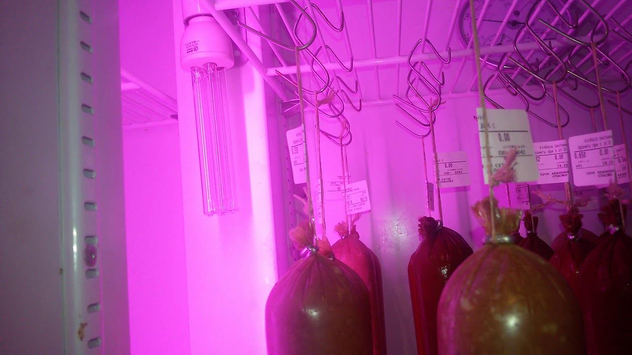 Сыровяленная колбаса. Продолжение эксперимента. День четвёртый. смотреть онлайн