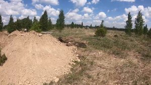 г. Новосибирск, с.Ленинское, поселок Малая Финляндия, 24.05.2021