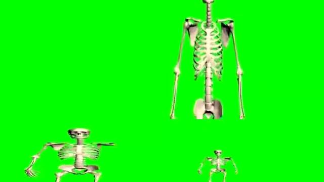 hearts of iron 4 declare war sound man screaming skeleton walking motorcycle accident keyboard smas смотреть онлайн