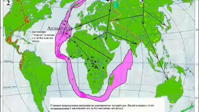 0 Кратко о книге ЭВОЛЮЦИЯ смотреть онлайн