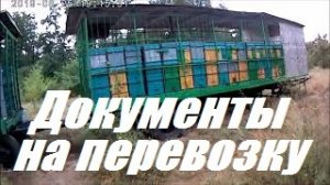 Документы на перевозку пчелоприцепов.Кочёвка на подсолнух+3.6-с облёта.