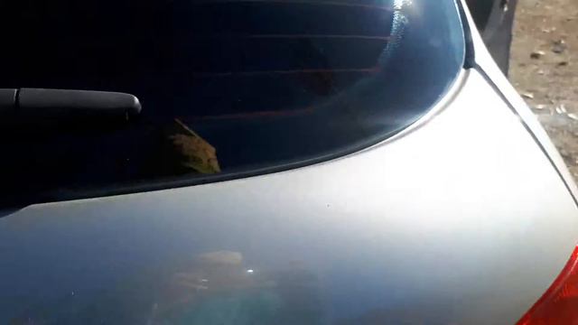 Peugeot 307 xs 1.6 2009 смотреть онлайн