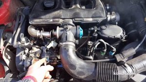 Работа дизеля на бензине. Citroen Berlingo I 1.9d