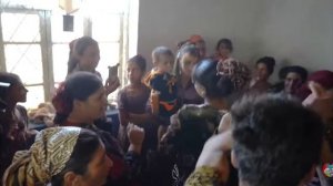 лули туй аригнали