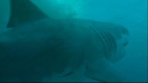 Megalodon Theme Suite (Sea Monsters Original Soundtrack) by Ben Bartlett