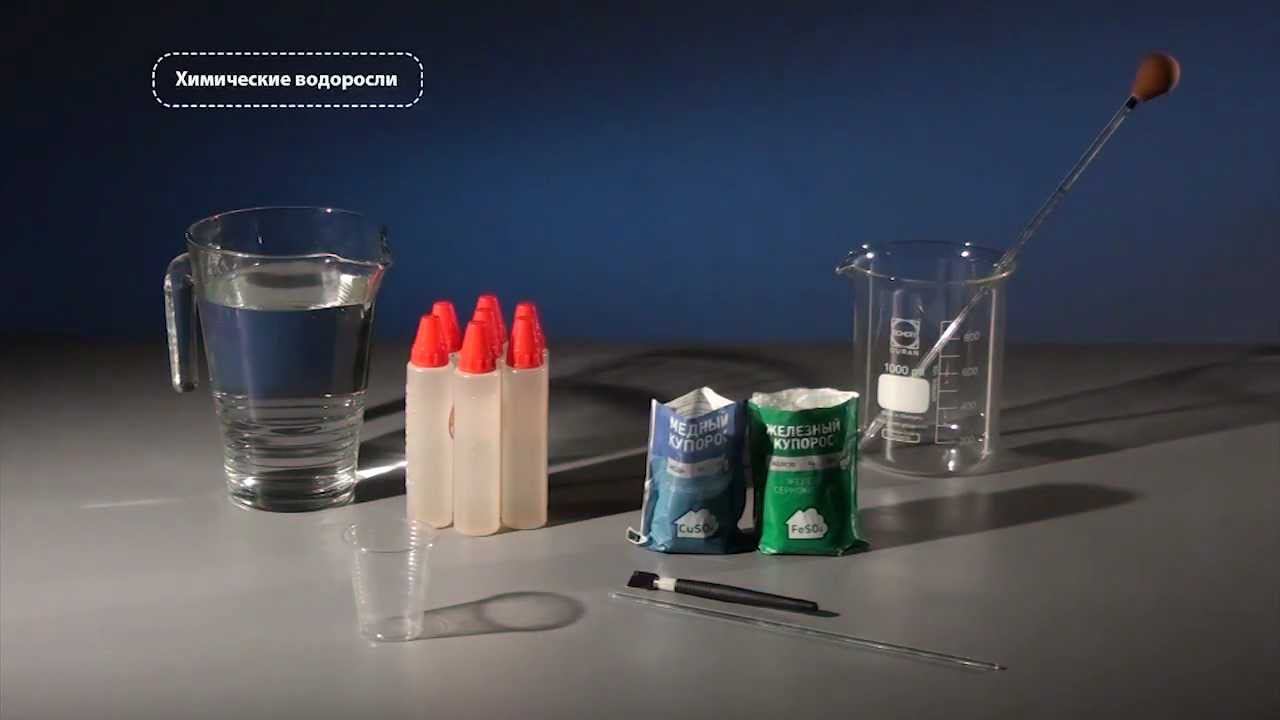 Химические водоросли или коллоидный сад - опыты
